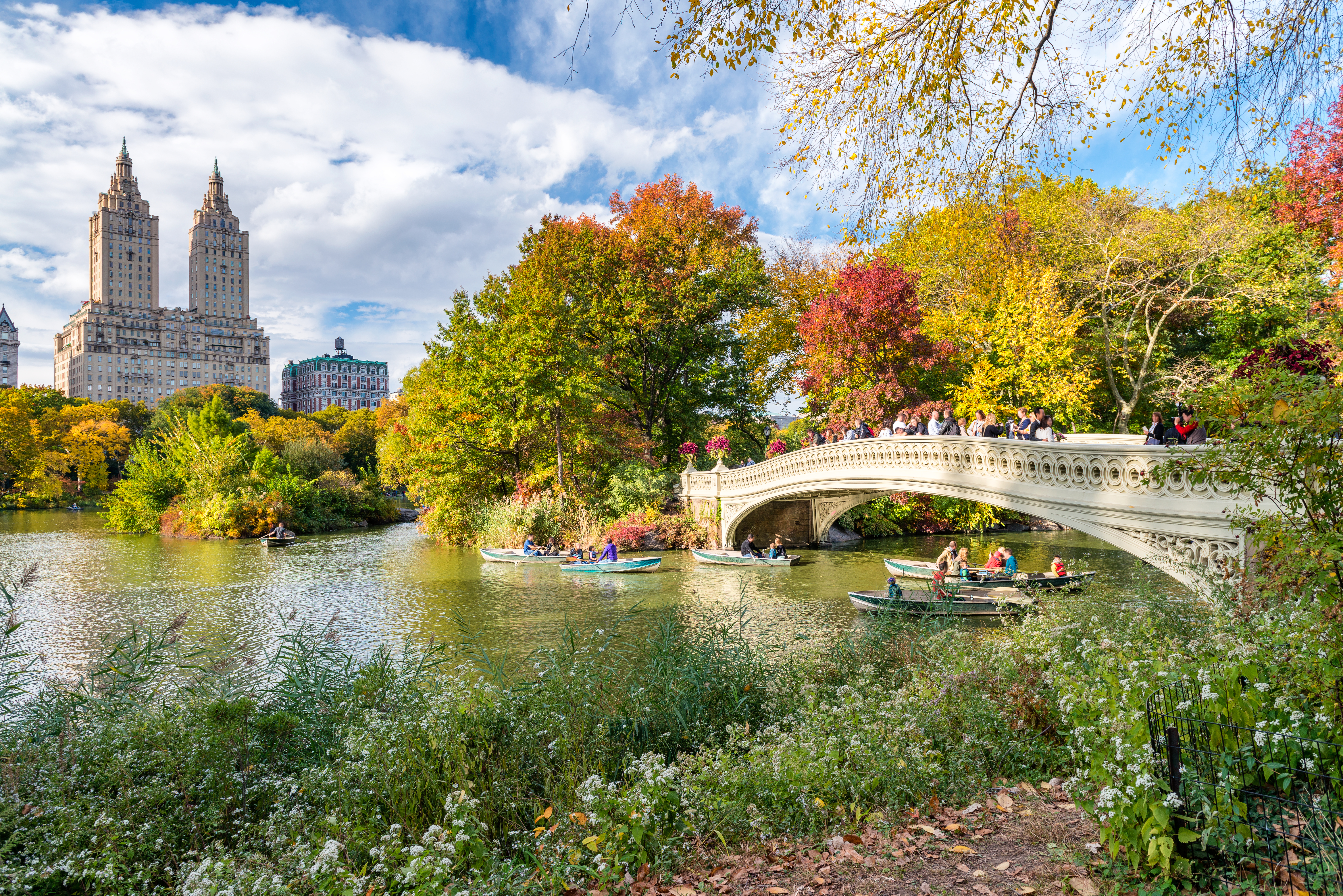 中央公園的美好的秋天顏色在紐約，紐約。