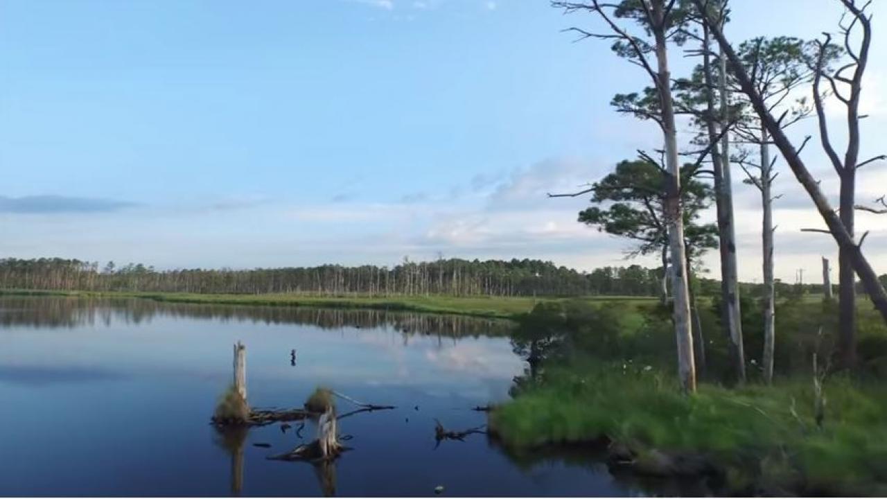 影片：馬里蘭州綺沙比克灣水上冒險