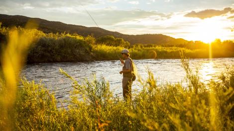 在金暉中獨自垂釣
