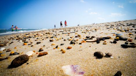 在一望無際的海灘上漫步,找尋美麗貝殼和奇石 在一望無際的海灘上漫步,找尋美麗貝殼和奇石