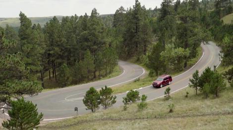Winding road through hills and forests in Custer State Park in Custer, South Dakota