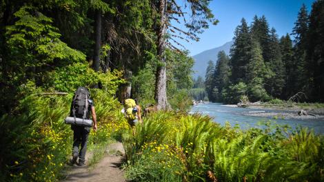 背包客沿著奧林匹克國家公園的河流健行 背包客沿著奧林匹克國家公園的河流健行