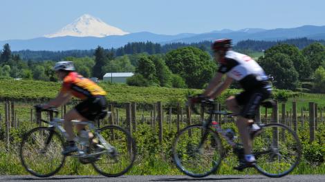 Competitors in the Pioneer Century bike race