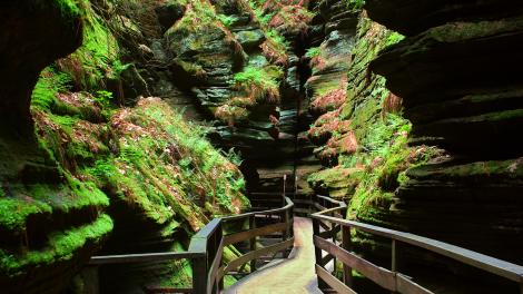Absorbing the beautiful Wisconsin Dells scenery on a hiking trail Absorbing the beautiful Wisconsin Dells scenery on a hiking trail