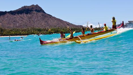 Dive into the action Dive into the action