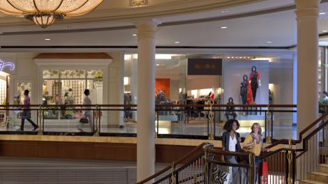 Premier Shopping in Phipps Plaza in Atlanta, Georgia