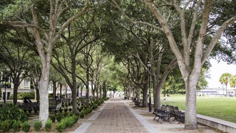 Exploring historic Charleston in South Carolina Exploring historic Charleston in South Carolina