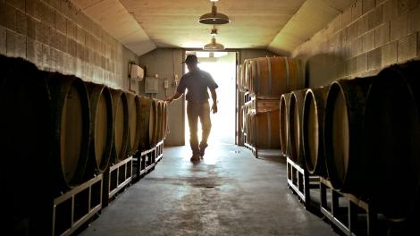 Wine cave in West Monroe, Louisiana Wine cave in West Monroe, Louisiana