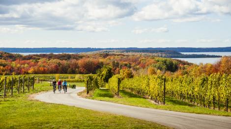 Fall biking alongside a Traverse City vineyard Fall biking alongside a Traverse City vineyard