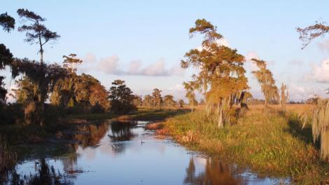 See Louisiana Through the Eyes of Musician Tab Benoit