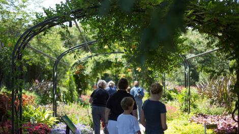 Cheekwood Botanical Gardens in Nashville, Tennessee 