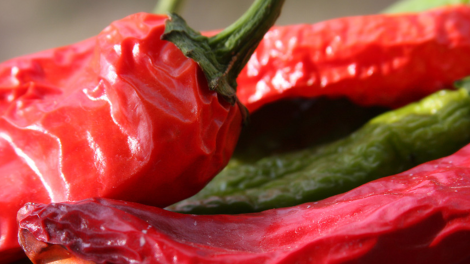 New Mexico’s Love Affair with Chiles New Mexico’s Love Affair with Chiles