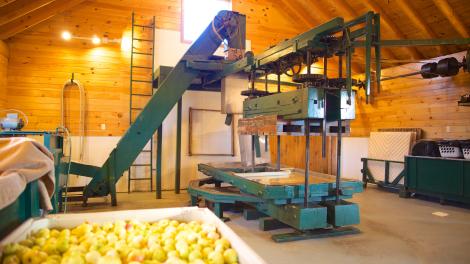 Old-fashioned cider press, Harvest Moon Cidery, Cazenovia, New York Old-fashioned cider press, Harvest Moon Cidery, Cazenovia, New York
