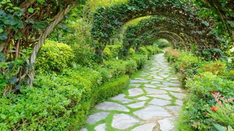 How to Sneak a Peek at Charleston’s Secret Gardens