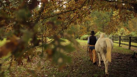 Horse Whisperer Stan Estes