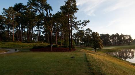 Learn about the US Open with ESPN's guide to the premier golf event Learn about the US Open with ESPN's guide to the premier golf event