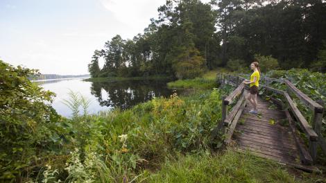 Hiking in Kisatchie National Forest in Alexandria, Louisiana  Hiking in Kisatchie National Forest in Alexandria, Louisiana