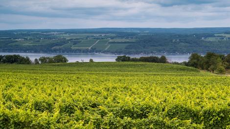 New York Sipping Tour: Craft Beverages of New York State New York Sipping Tour: Craft Beverages of New York State