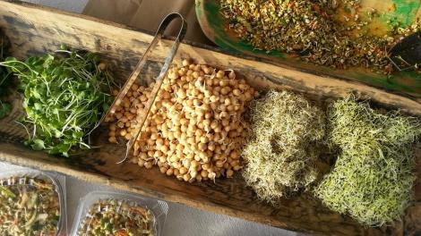 Market at the Horse Farm