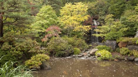 Picturesque bridge in Anderson Japanese Gardens in Rockford, Illinois Picturesque bridge in Anderson Japanese Gardens in Rockford, Illinois