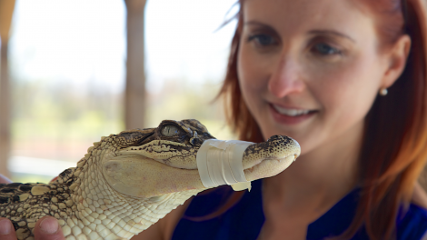 9 Travel Hacks for the International Visitor in Louisiana 9 Travel Hacks for the International Visitor in Louisiana