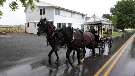 Amish buggy ride in Lancaster, Pennsylvania