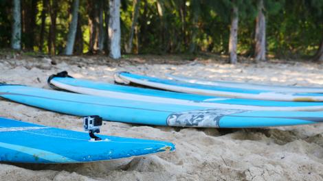Surfboards ready for waves