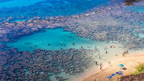 Snorkeling at Hanauma Bay