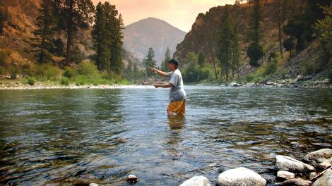 Fly fishing in the Salmon River in Idaho Fly fishing in the Salmon River in Idaho