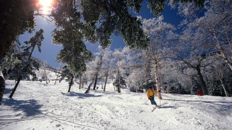 Skiing in Stowe, Vermont