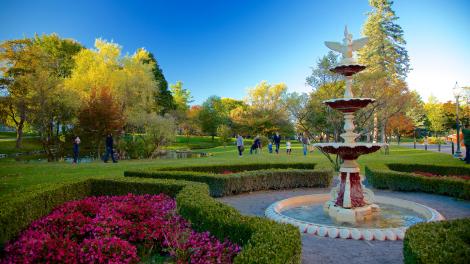 國會公園的繽紛花朵與朝氣蓬勃的氣氛 國會公園的繽紛花朵與朝氣蓬勃的氣氛
