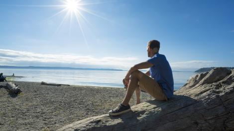 Sunny skies along the rocky shore of Puget Sound in Burien  Sunny skies along the rocky shore of Puget Sound in Burien