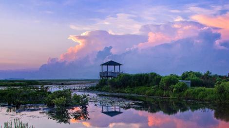 A gorgeous sunset in the Lacassine National Wildlife Refuge A gorgeous sunset in the Lacassine National Wildlife Refuge