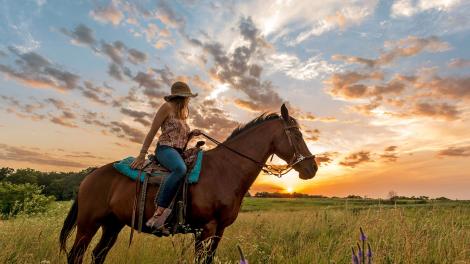 騎馬探索 Circle S 牧場