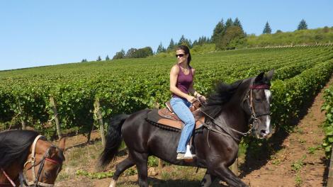 Touring wineries on horseback in Willamette Valley 