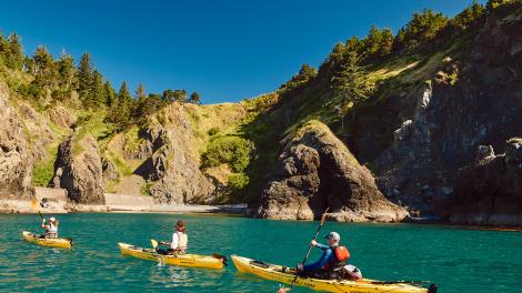 Kayaking tour off the shores of Port Orford, Oregon