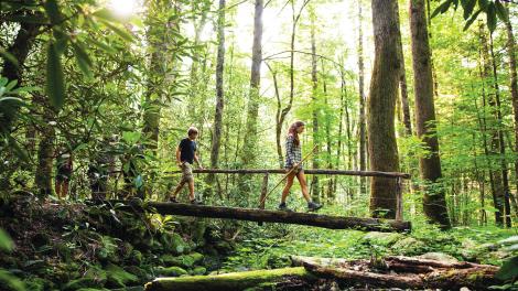Hiking along a footbridge in Great Smoky Mountains National Park Hiking along a footbridge in Great Smoky Mountains National Park