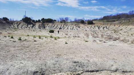 Mineral Wells Fossil Park