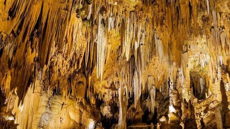 The Great Stalacpipe Organ