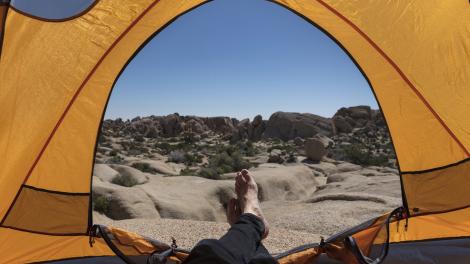 Enjoying the view at Joshua Tree National Park in California