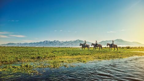 Horseback riding tour from a Colorado dude ranch