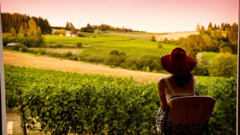 Taking in the view of the vines at Sokol Blosser Winery in Dayton, Oregon