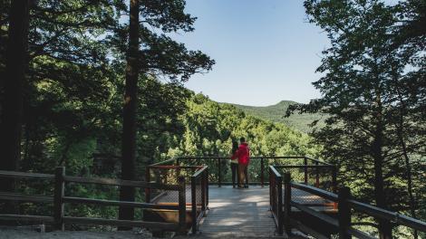 The Kaaterskill Falls Viewing Platform at Haines Falls The Kaaterskill Falls Viewing Platform at Haines Falls