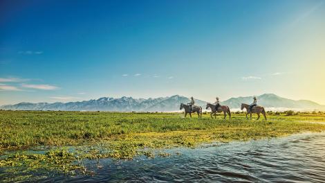 Touring Great Sand Dunes National Park on horseback Touring Great Sand Dunes National Park on horseback