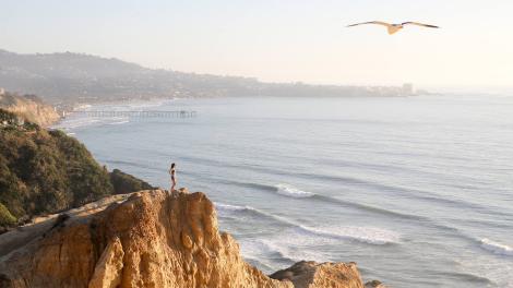 Viewing the La Jolla coastline from the sea cliffs Viewing the La Jolla coastline from the sea cliffs