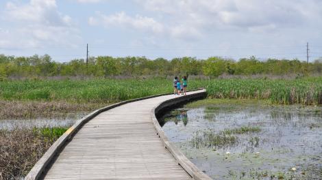 Exploring a boardwalk in the Cameron Prairie National Wildlife Refuge in Bell City, Louisiana Exploring a boardwalk in the Cameron Prairie National Wildlife Refuge in Bell City, Louisiana