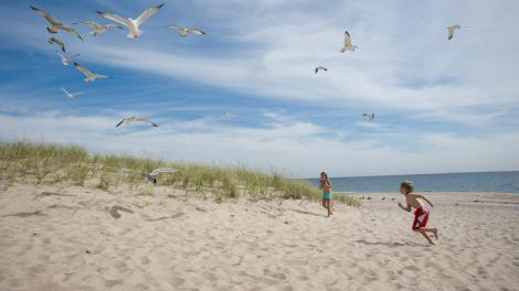 Children playing on a beach in The Hamptons Children playing on a beach in The Hamptons