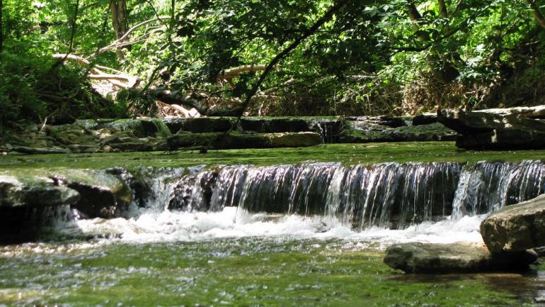 即使不打算在克里夫蒂瀑布州立公園尋找化石,也可以沿著園內的多條步道健行或是欣賞瀑布。 即使不打算在克里夫蒂瀑布州立公園尋找化石,也可以沿著園內的多條步道健行或是欣賞瀑布。