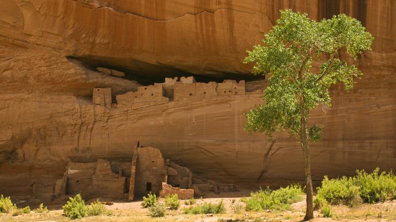 眺望謝伊峽谷國家紀念區。
