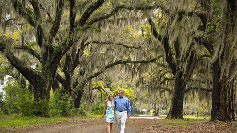 前往喬治亞州聖西蒙斯島,沿著橡木小徑悠閒漫步 前往喬治亞州聖西蒙斯島,沿著橡木小徑悠閒漫步